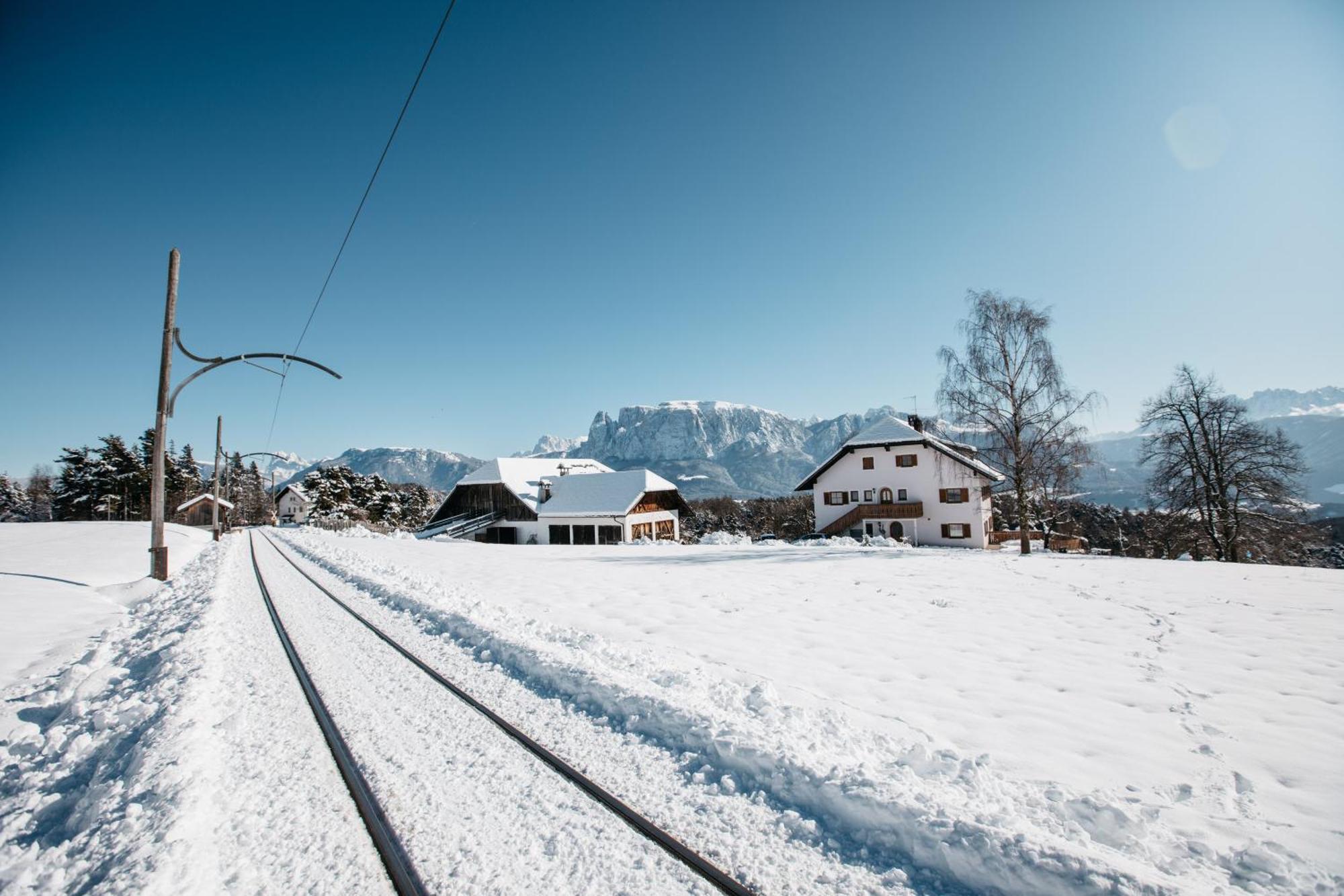 Alpin Farm Linde - Oberweidacherhof Collalbo Exterior photo
